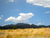 Ross Ranch , Nipton, CA, 92364