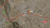 Atnah Rd, Apple Valley, CA, 92307