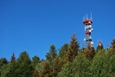 Medium_psd_cell_photo